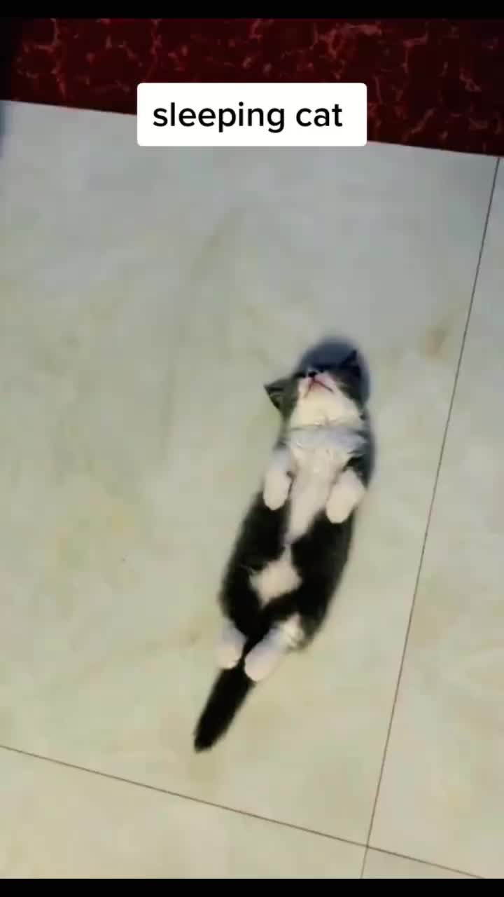 @user87357065893
