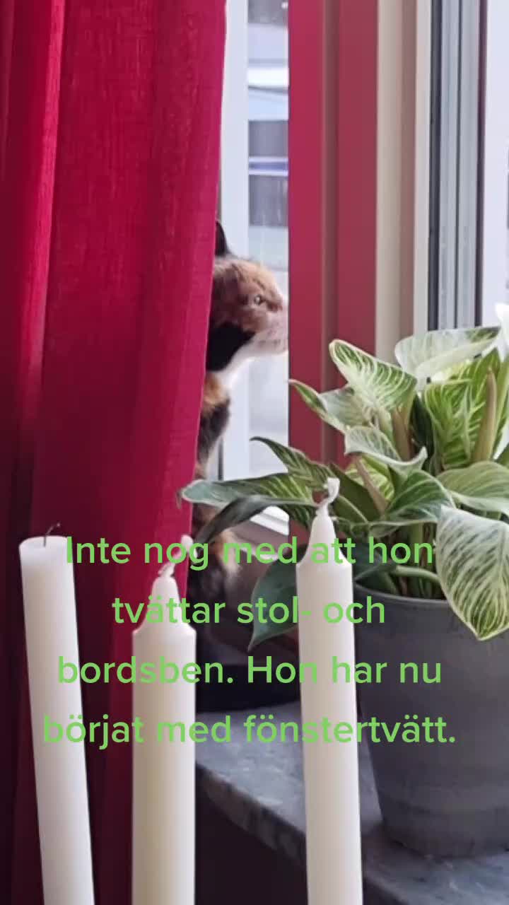 @Malin7.1