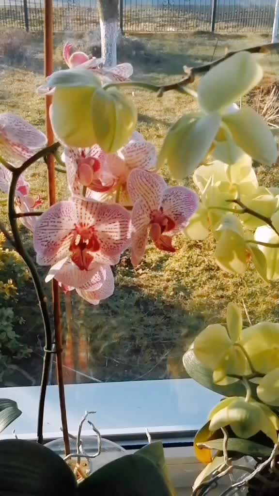 @user04012852532