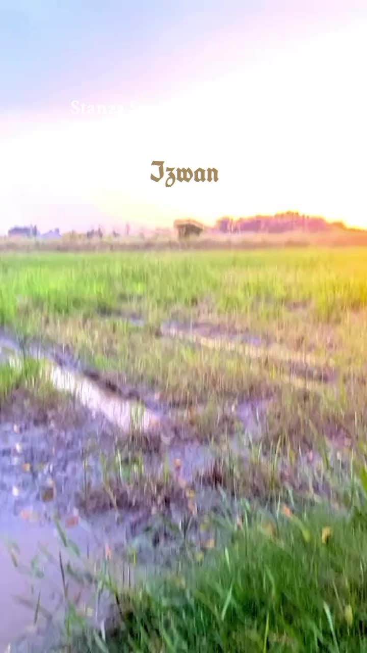 @lzwan