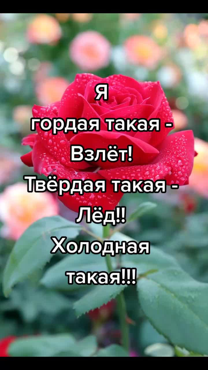 @Irinka💐