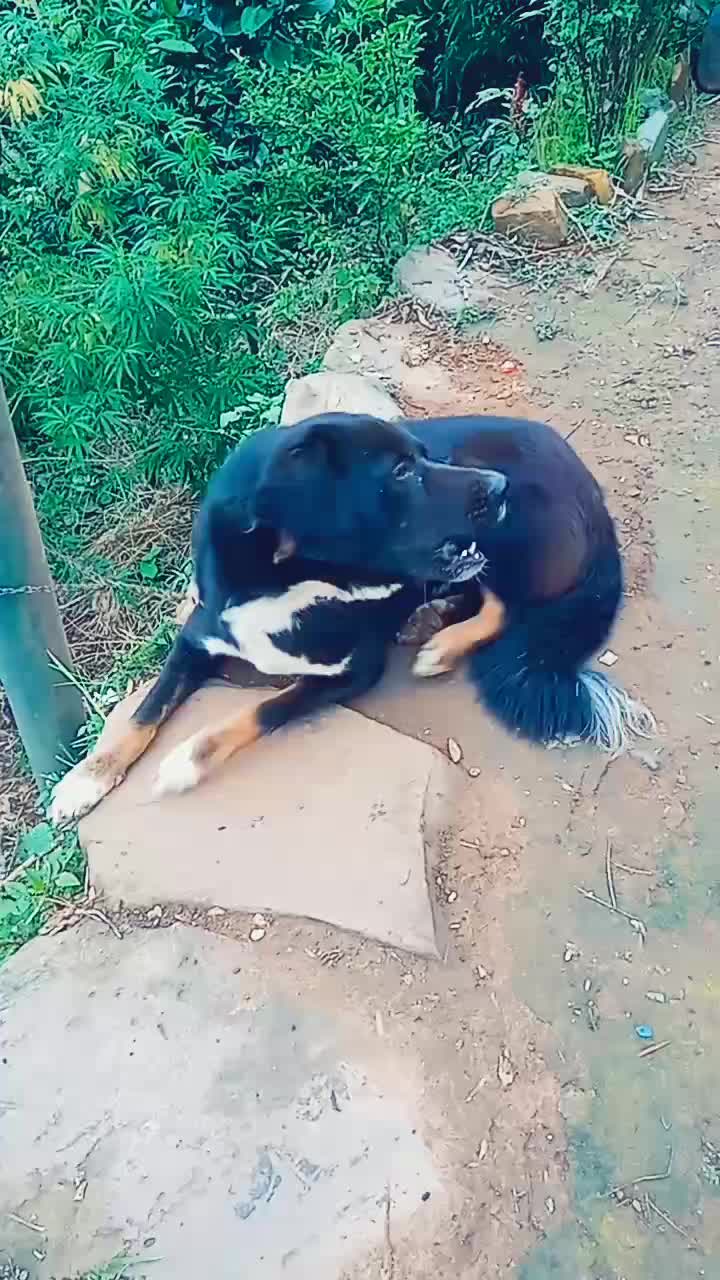 @itsmekumar