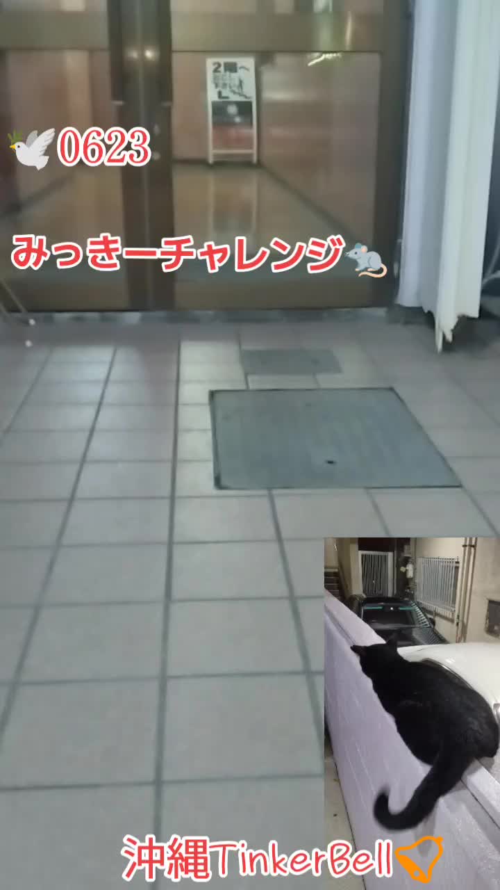 @沖縄セクキャバティンカーベル