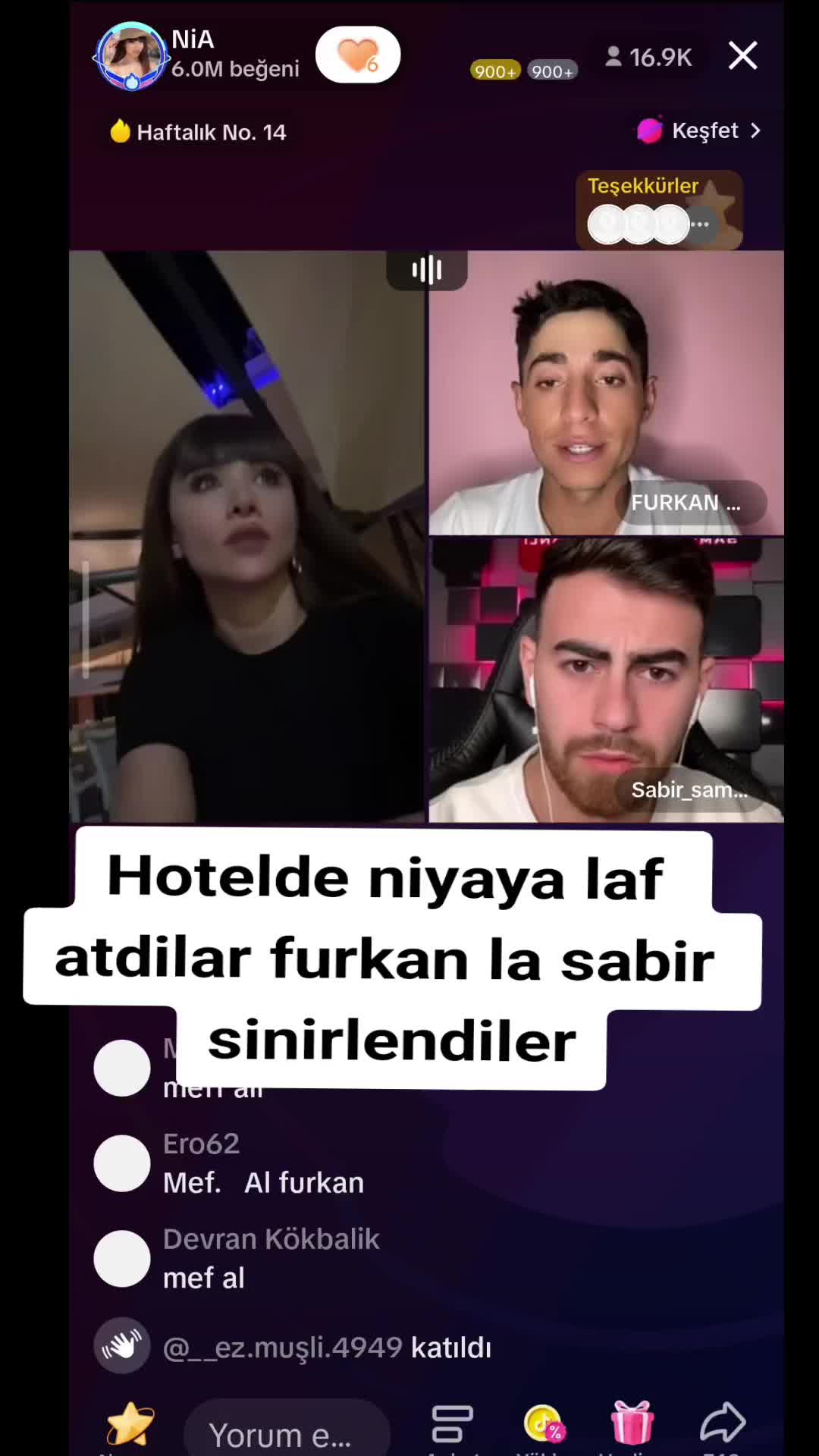 @niafurka