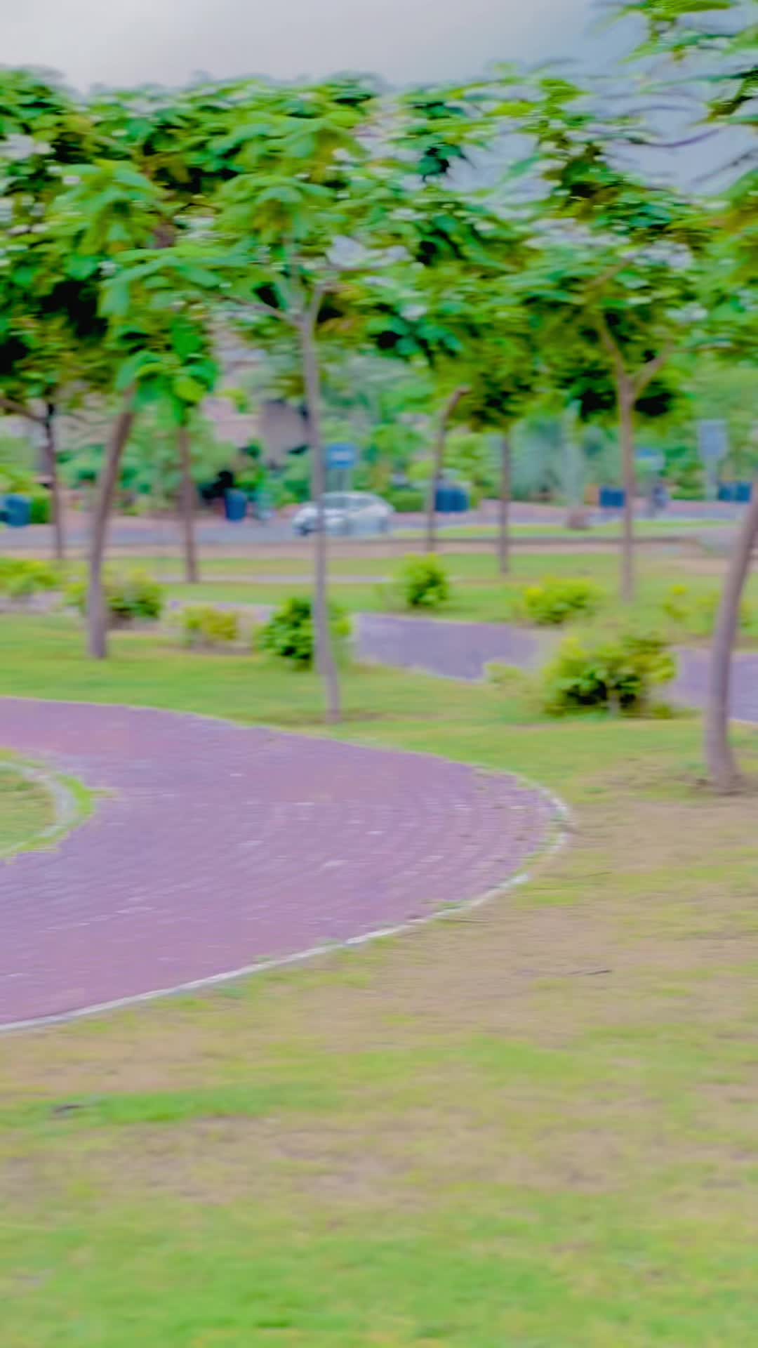 @ذیشان گبول
