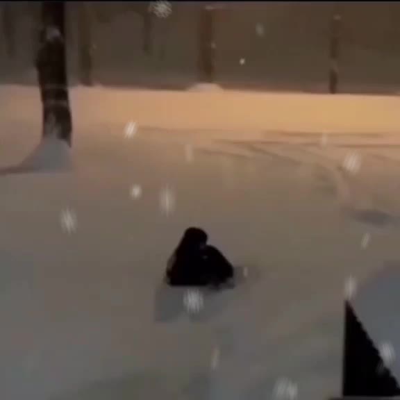 @༺ 𒆜Грустный𒆜 ༻