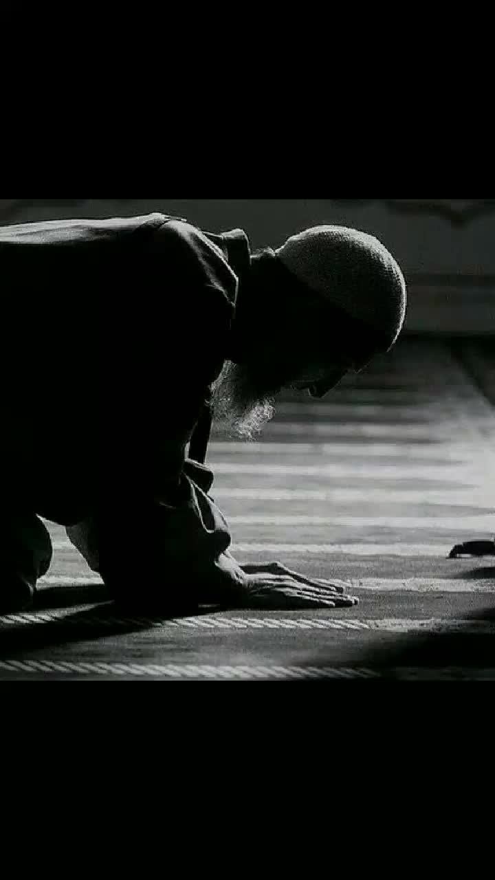 @zahidfannah