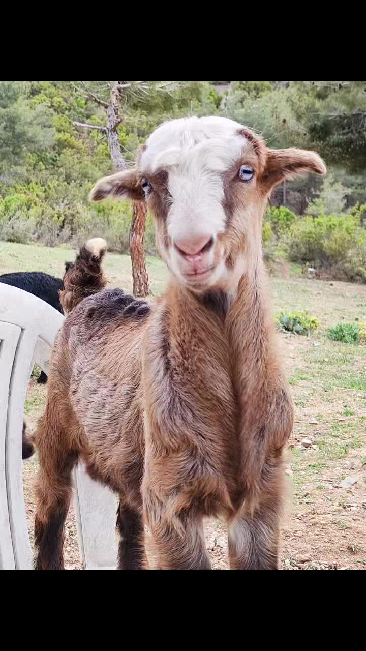 @Niyazi Durmuş