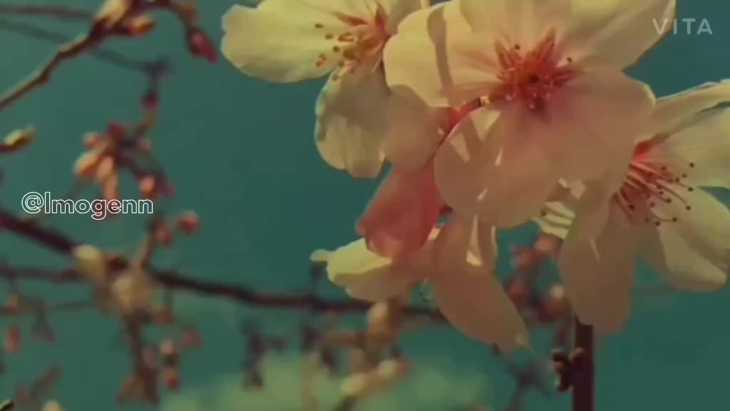 @๐ธ๐๐๐๐๐