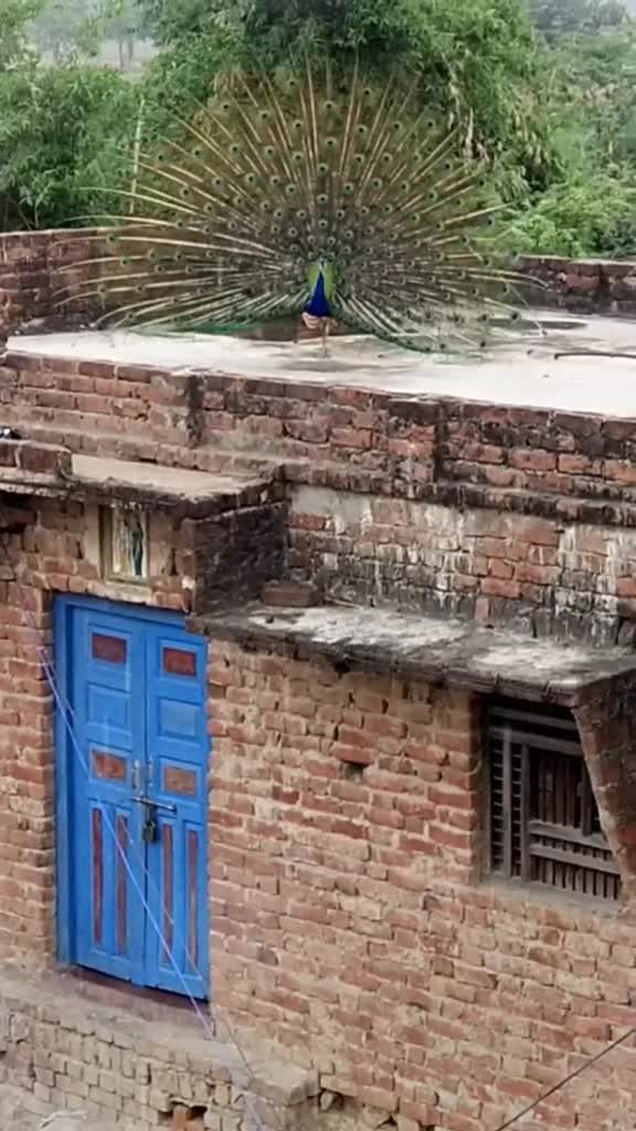 @Rishika