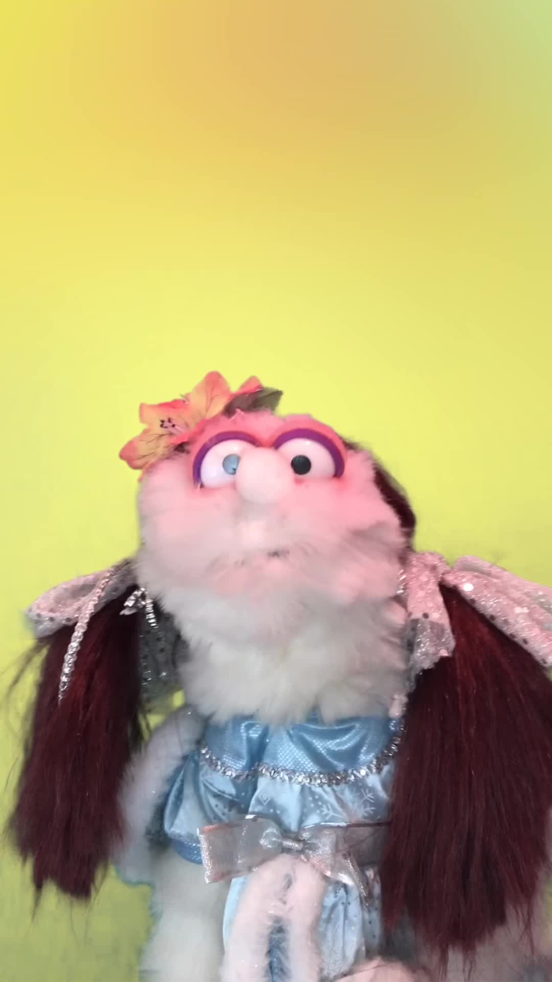 @The Doogles