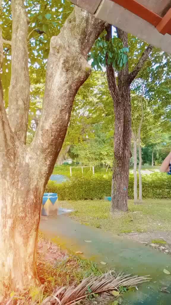 @Shwe Nyar Myay Travel & Tour
