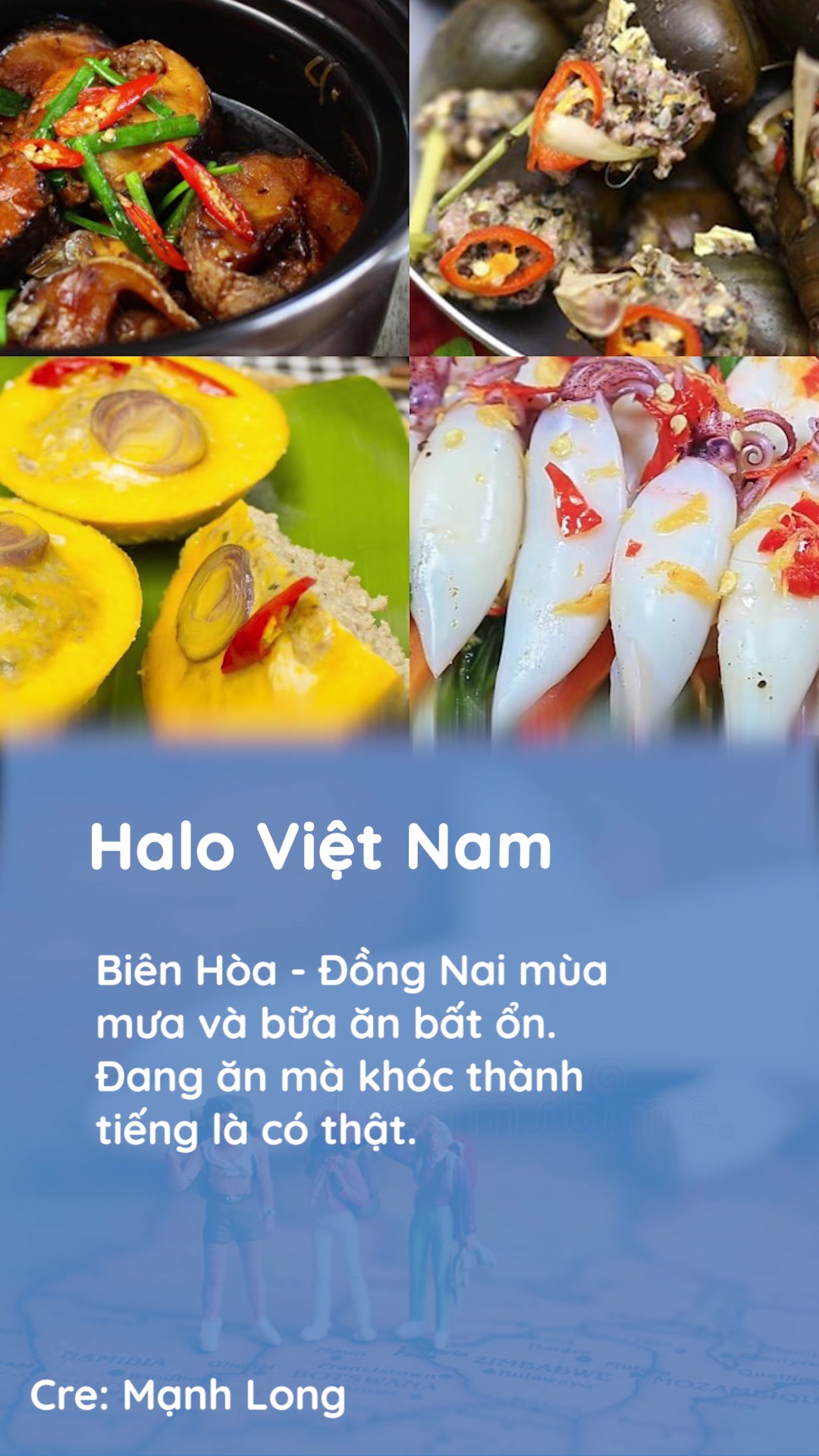 @Halo Vietnam