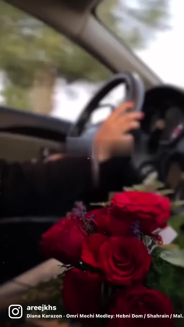 @areejkhs203