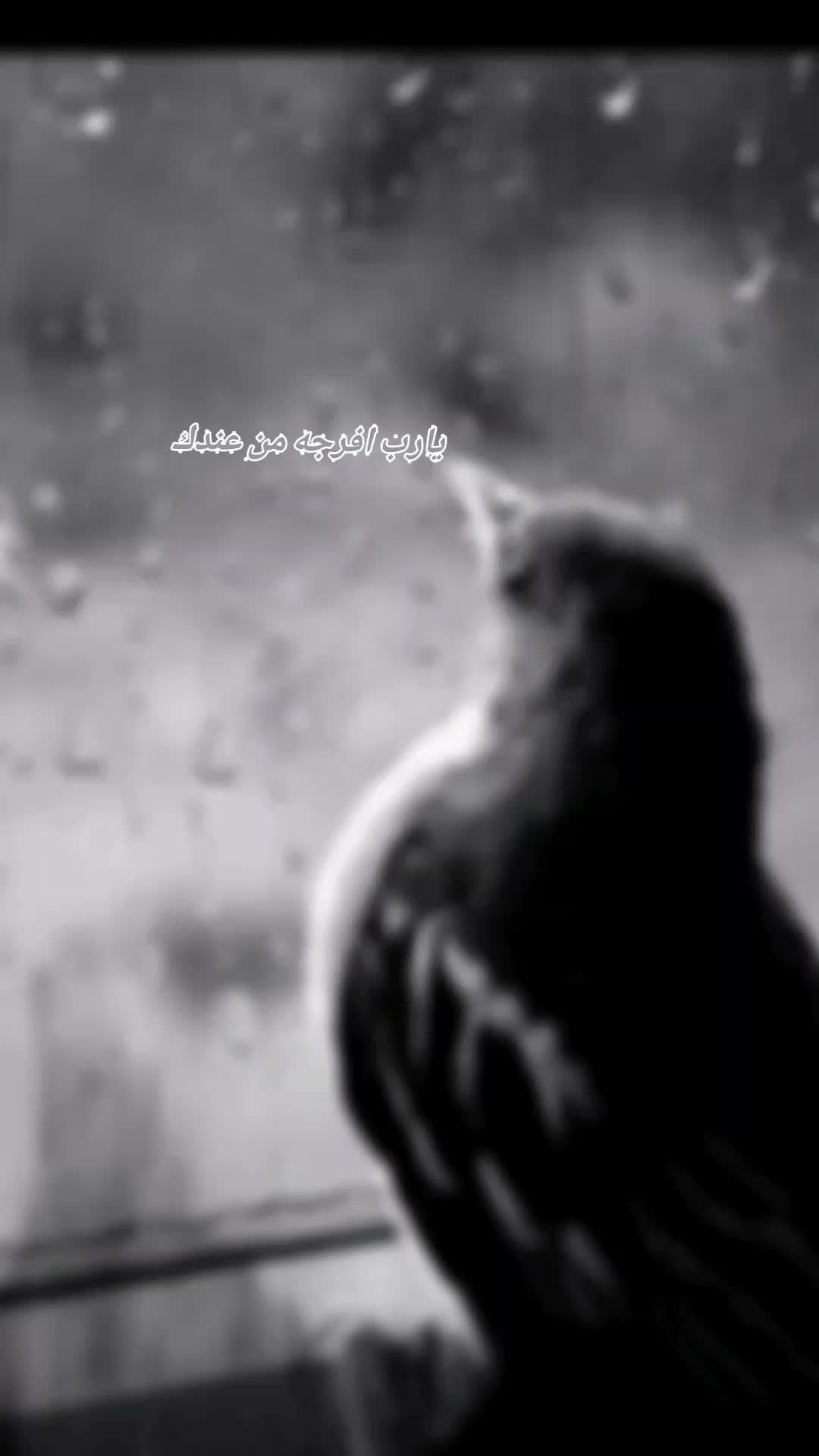 @《《《عـبـدالـوهـاب》》》