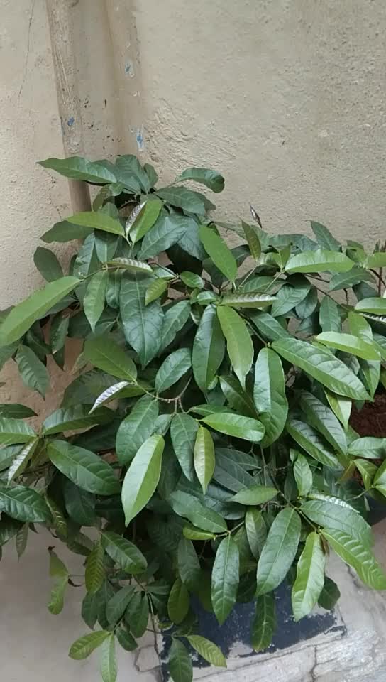 @user230764