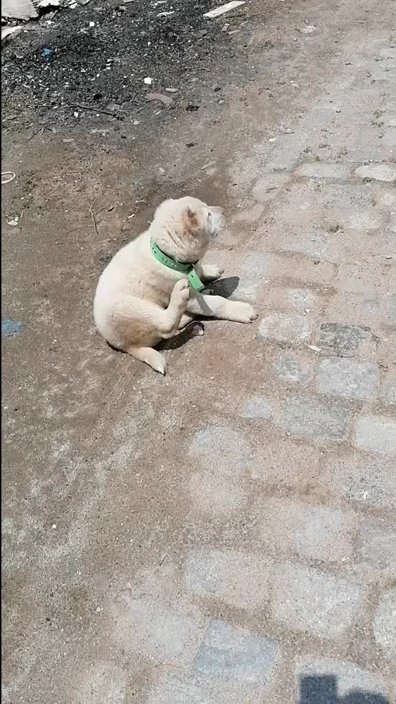 @FurkanKöse28