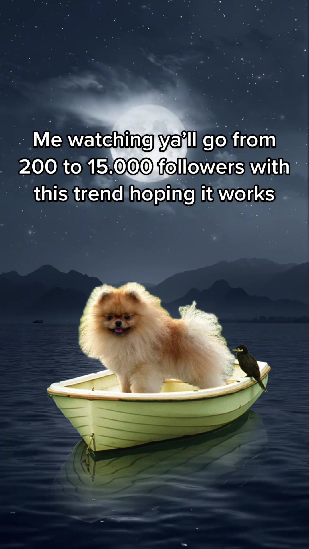@yoshi.thepom