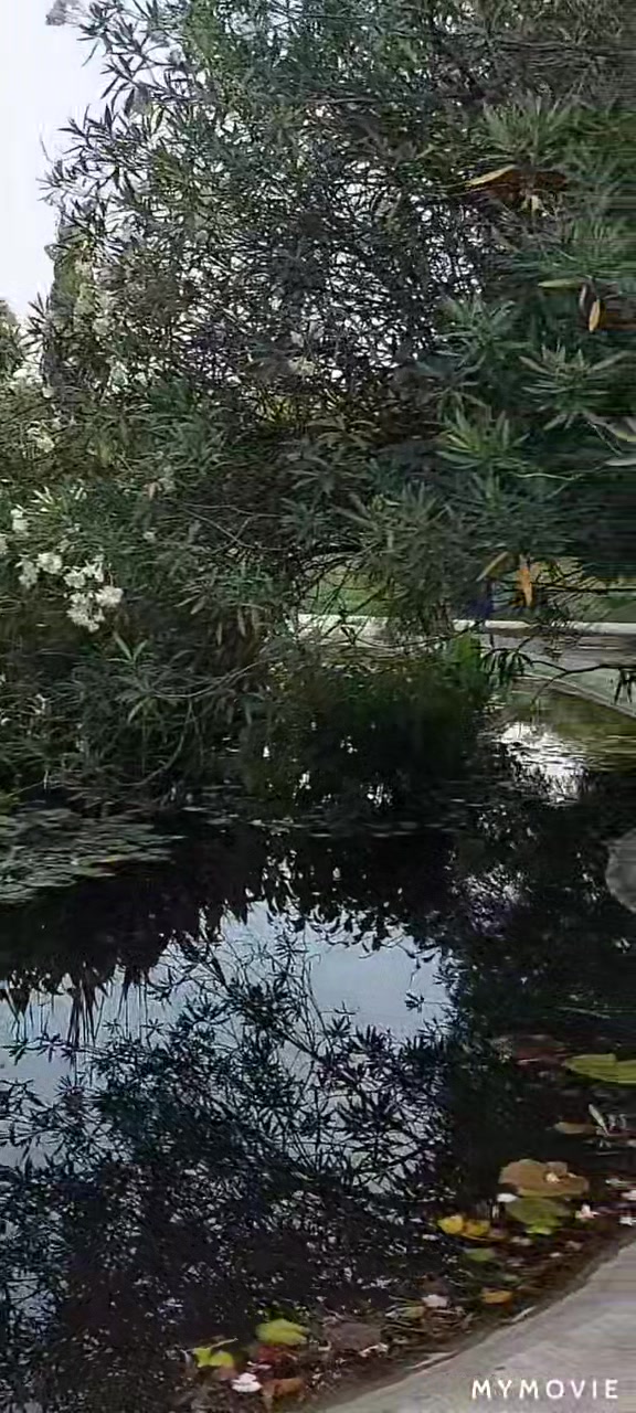 @VIKI_ART_SOCHI