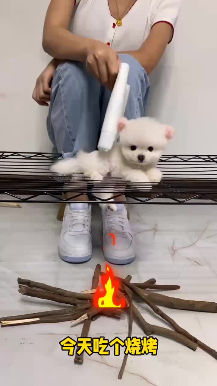 @wutao11059