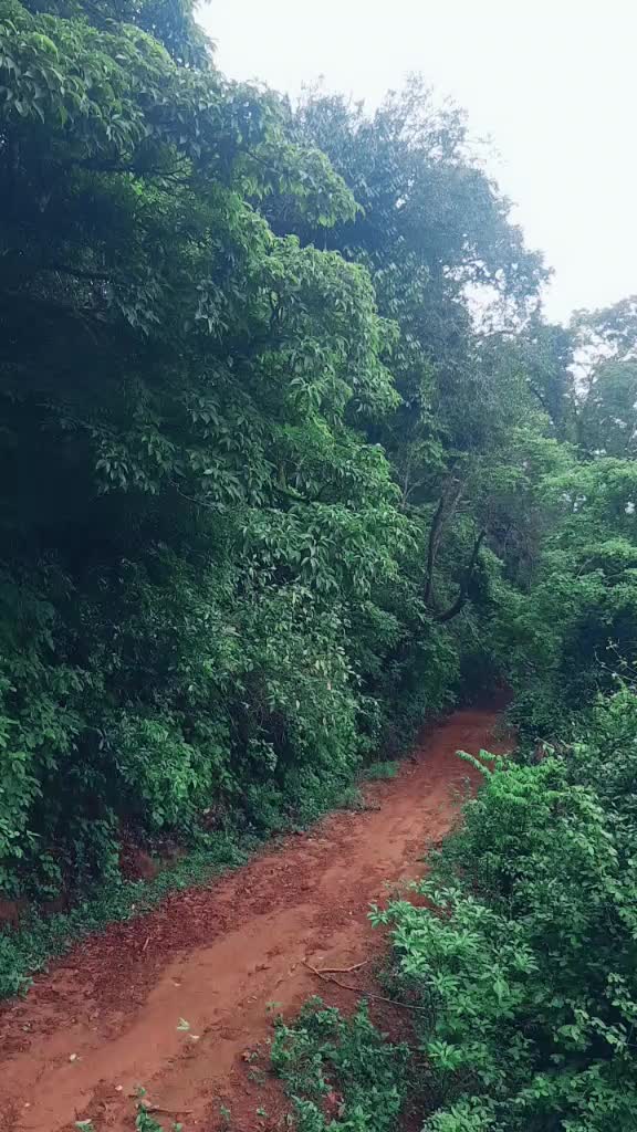 @Anand Harikoppa