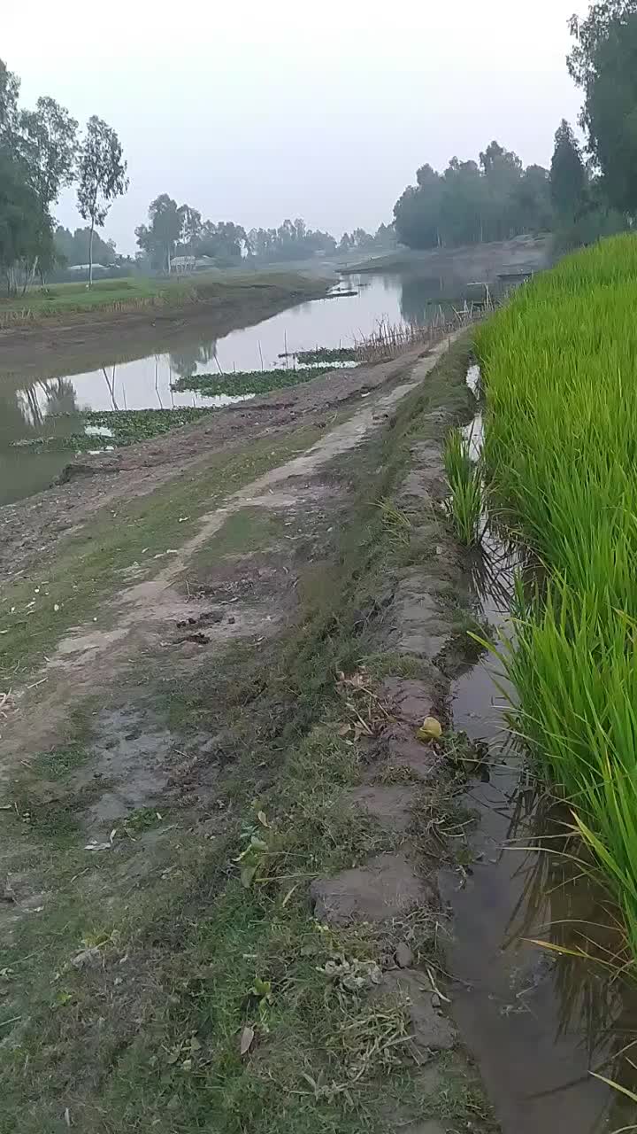 @শুধু তোমার জন্য পাগল