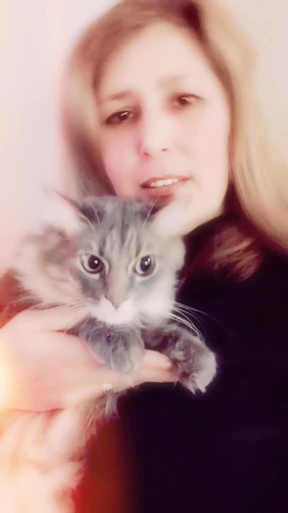 @dumanbey🐈⬛pamukhanım🐈