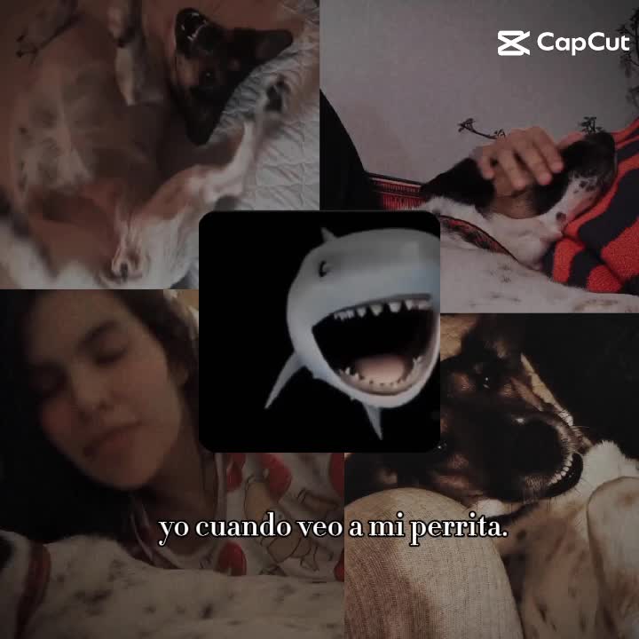 @María Paula Solarte.