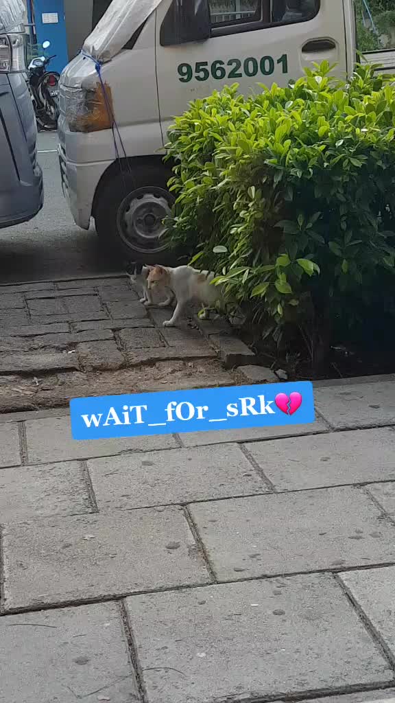 @صابر علي