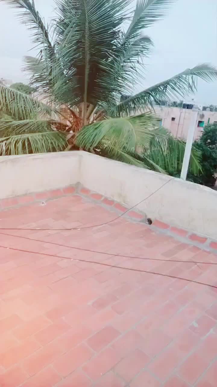@chinnu nayak🌍