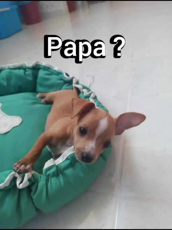 @Thor Dias Reis
