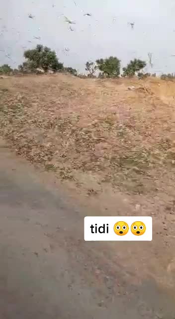 @A_N_k_U💫💎🦅