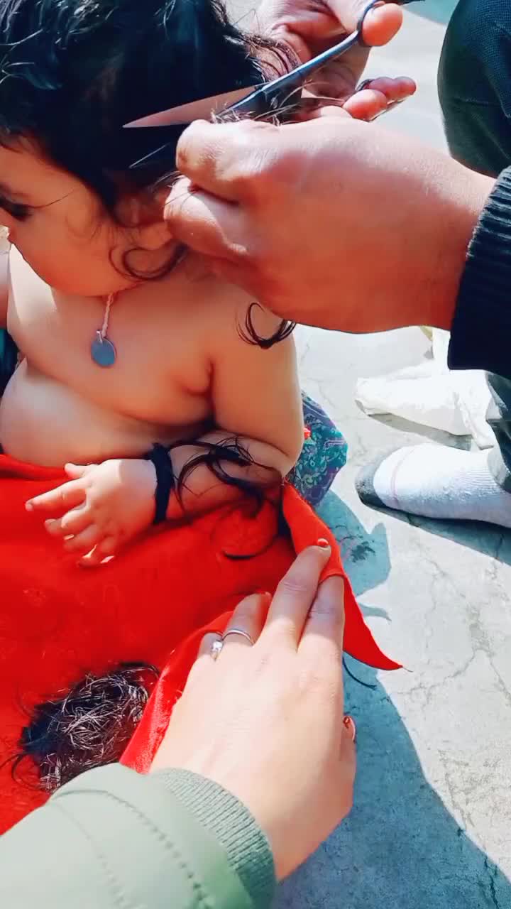 @❤️Love ❤️birds❤️