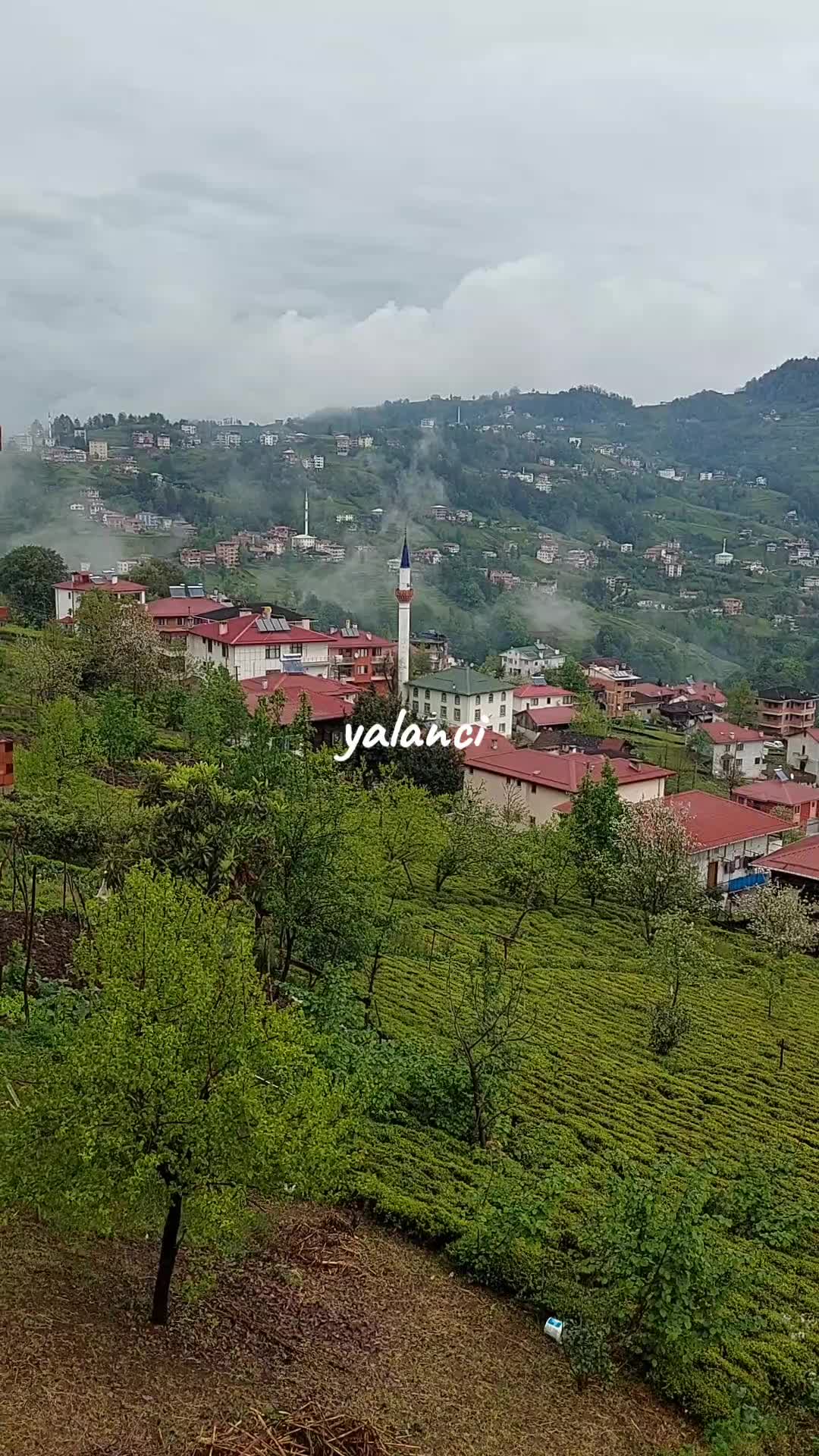 @M✨️