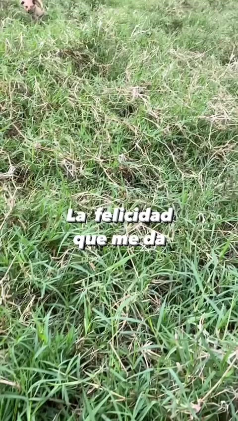 @Rompe el Muro