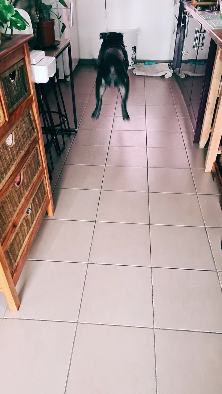 @lolotte-and-co