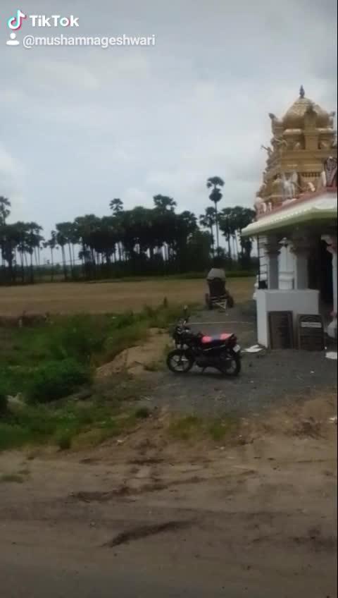 @chitti