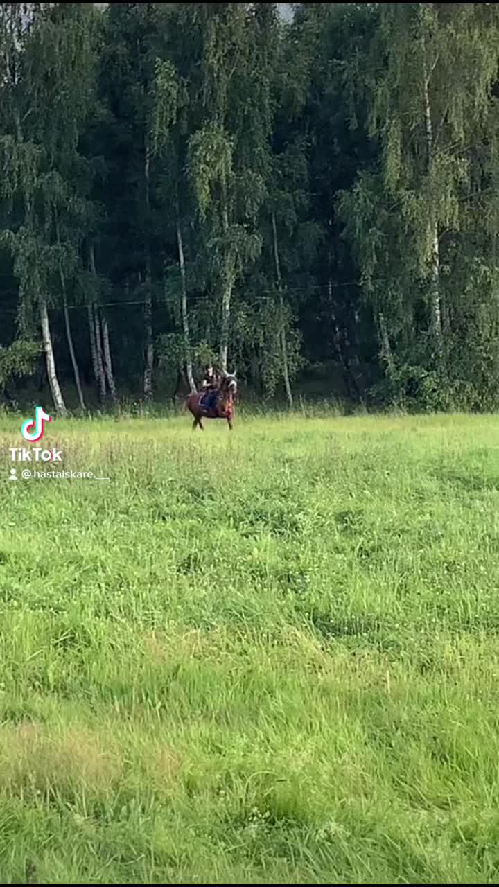 @Hästkonto 💓