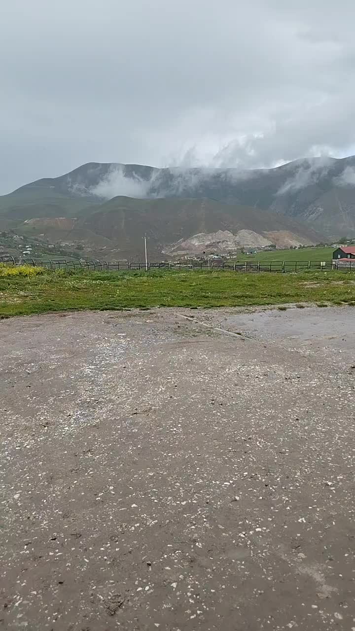 @Buğa bürcü