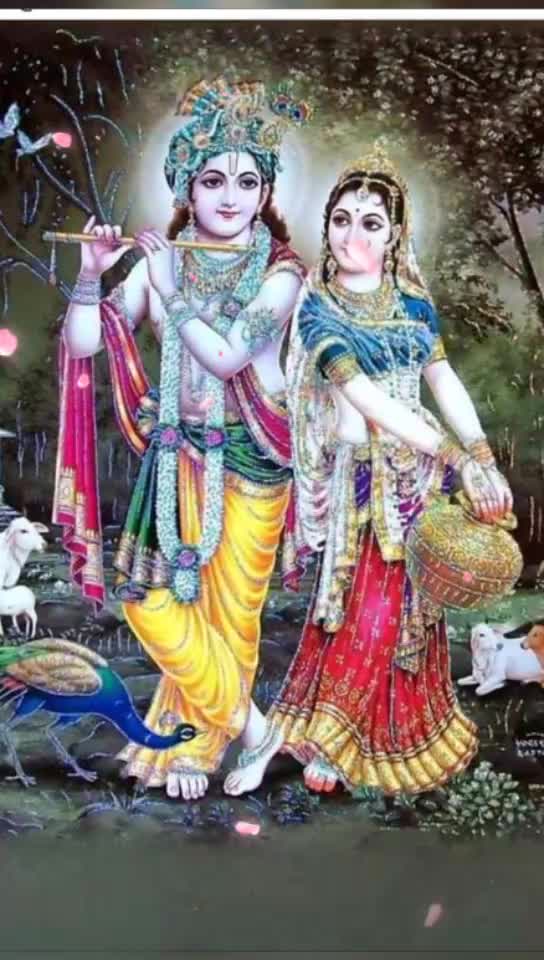 @Rajendra Saini 8995