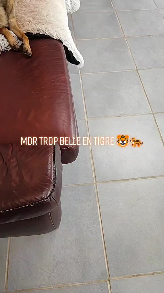 @Eau De Ré Effosse