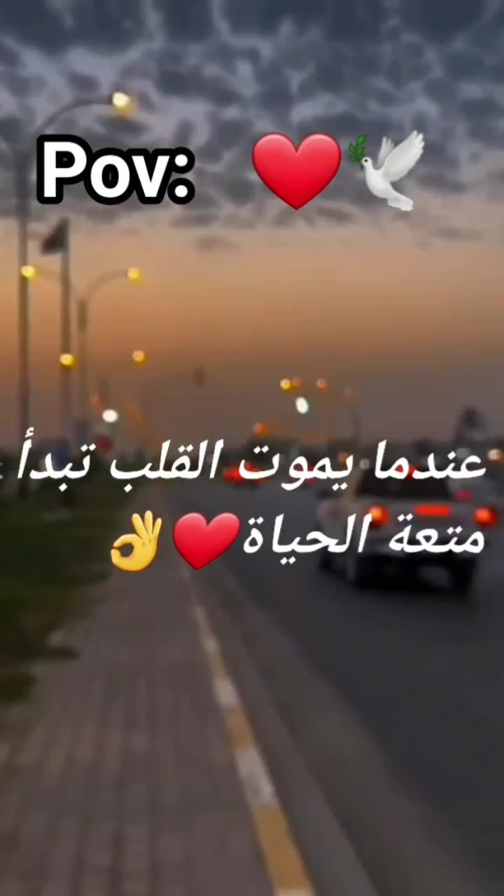 @🇩🇿🕊ستوريات🇩🇿🕊