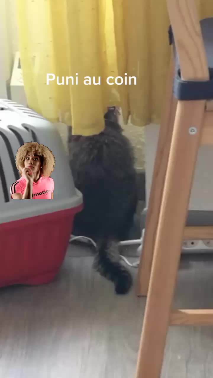 @Pêche 😺