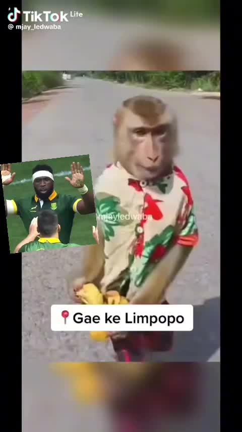 @MayGordons