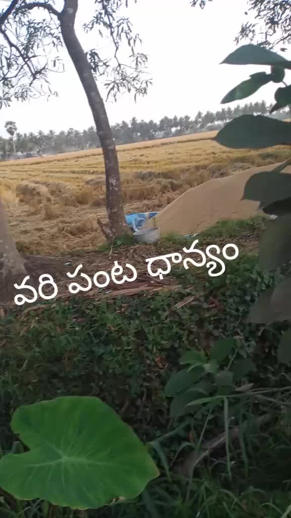 @user5870283082156