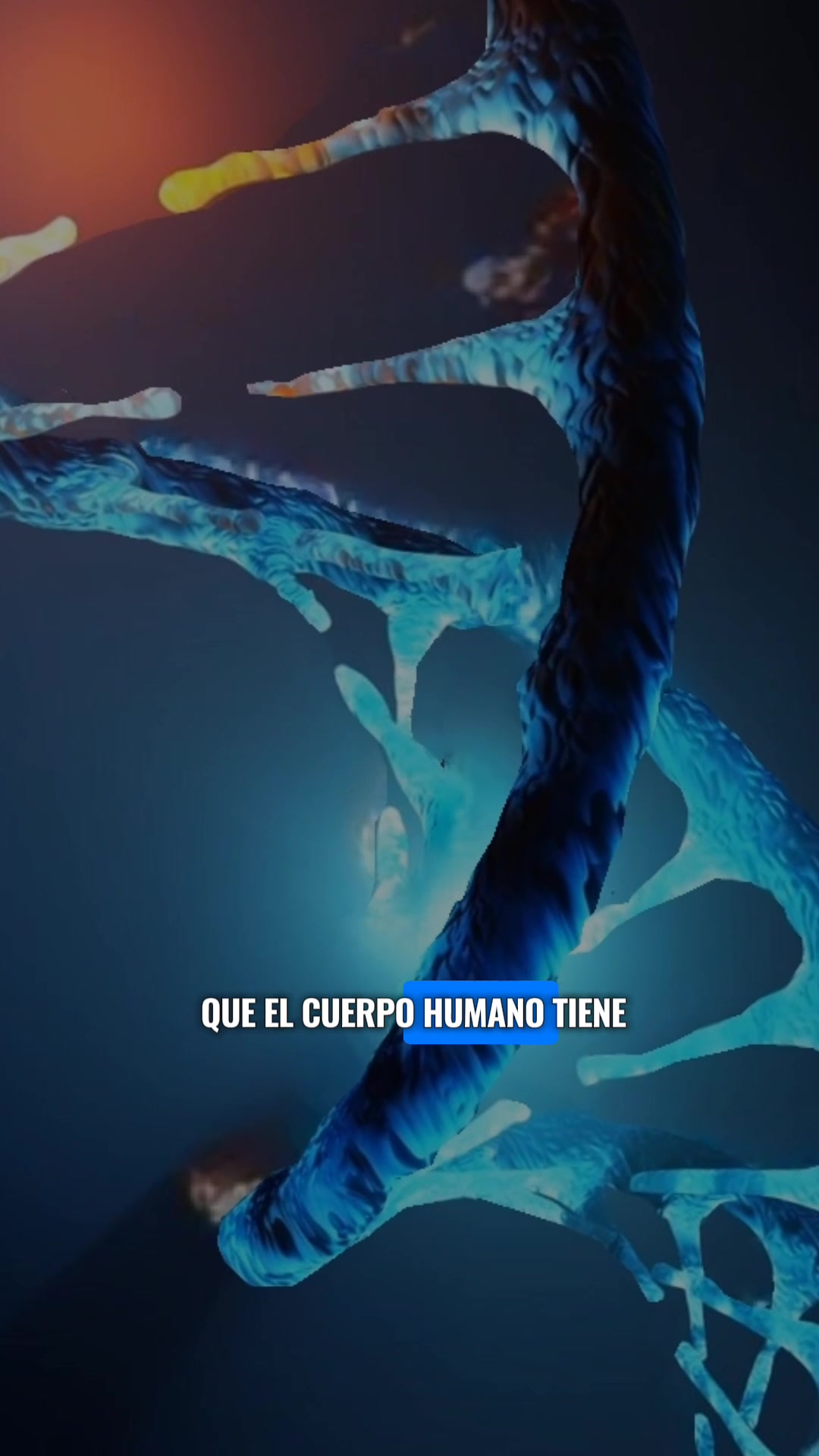 @DeborahCreativa
