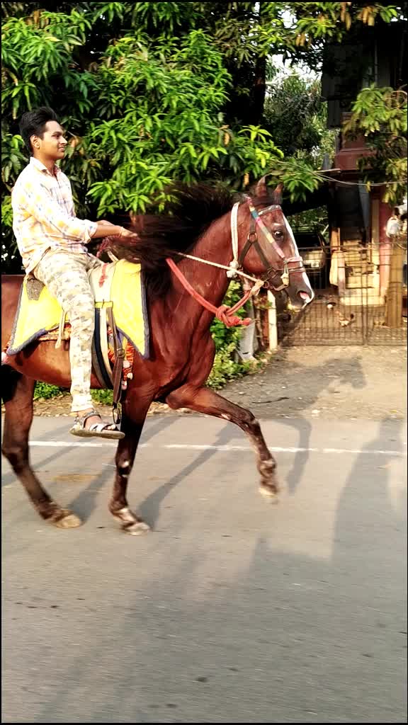 @Pranav_mesvaniya