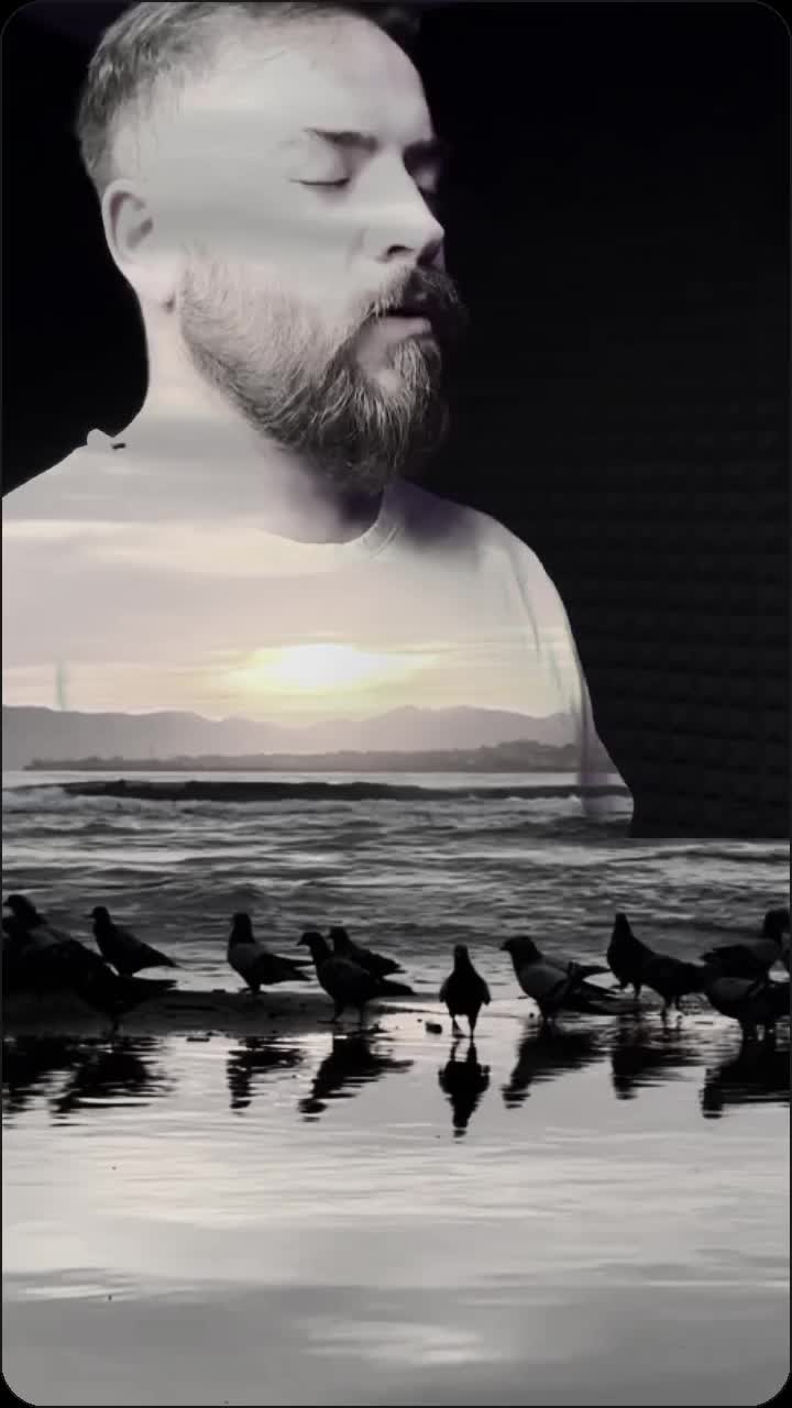 @Şilan🕊