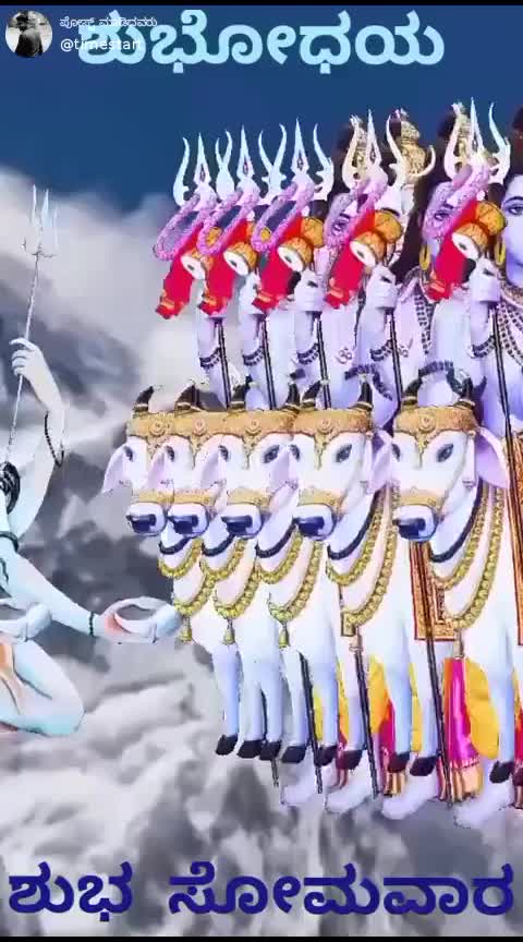 @M. S. Nandini Gowda