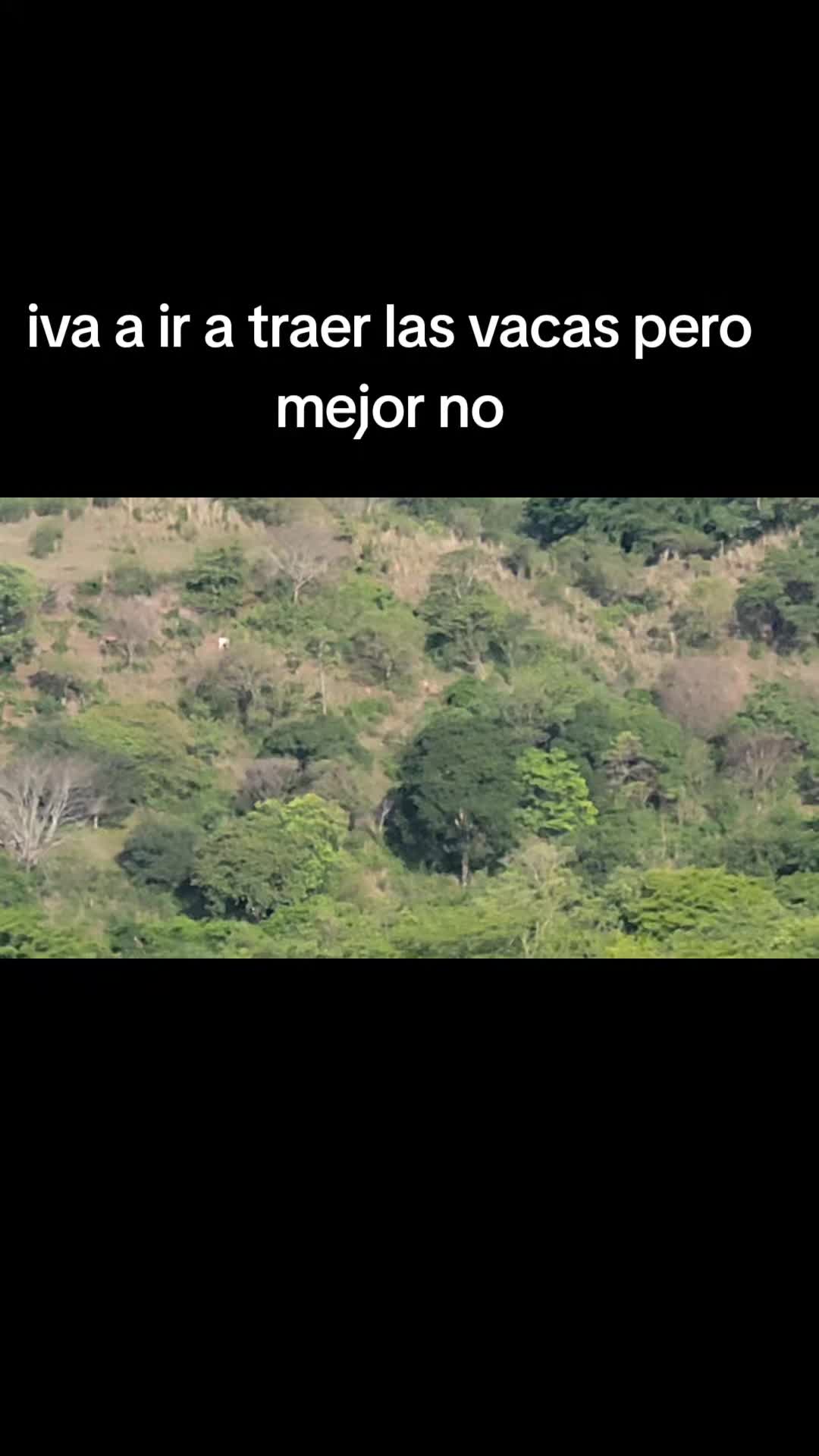 @El DJ